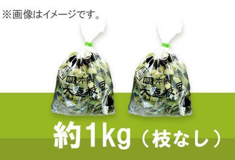 【2025年10月中旬発送】令和7年産 丹波ふるさと村の丹波黒枝豆500g×2(枝なし) プレミアム枝豆 期間限定 黒枝豆 えだまめ エダマメ お取り寄せグルメ 高級 特産品 名産品 おつまみ おうち居酒屋