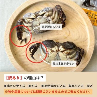 ふるさと納税 四万十市 【訳あり・数量限定!】最高級天然食材!四万十川の天然ツガニ 約1kg(8〜12匹) |  | 02