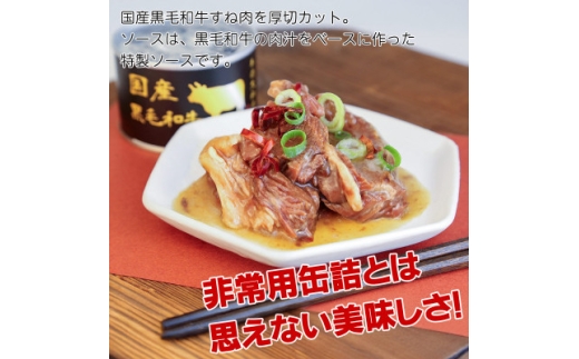 国産黒毛和牛大和煮缶詰 2缶セット 牛肉/すね肉(非常食・長期保存)【1733658】