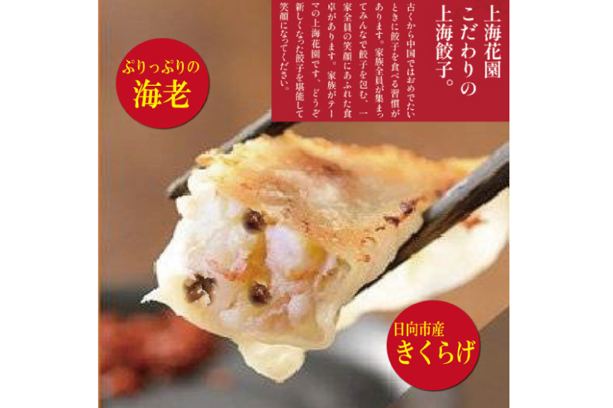 海老餃子 きくらげ入り 10×3 計30個 [サニーガーデン 宮崎県 日向市 452060640] 加工品 惣菜 エビ餃子 冷凍 餃子 ぎょうざ ギョウザ