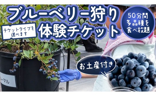 
                  ブルーベリー狩り 体験チケット 《お土産付き》 ブルーベリー ベリー 食べ比べ 食べ放題 収穫 収穫体験 体験 チケット 招待券 レジャー 観光 旅行 ふれあい お土産 おみやげ 持ち帰り テイクアウト 多品種 果実 果物 くだもの フルーツ 自然体験 農業体験 茨城県 桜川市 	 [DZ006sa00]
                