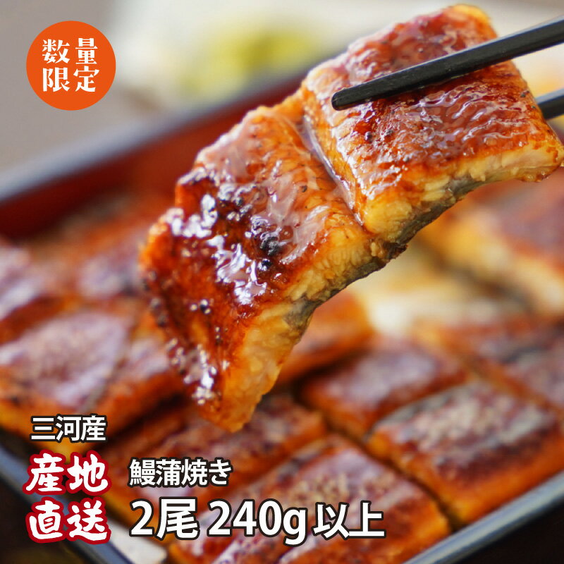 【ふるさと納税】うなぎ 国産 西尾 三河産 生産者｢愛知養魚｣がお届けする三河産うなぎ「蒲焼冷凍2尾」(合計240g〜250g)・A092-15-c0【冷凍便】うなぎ 国産 三河産 日本産 愛知県産 西尾市 鰻 タレ付き たれセット 土用の丑の日 丑の日 海鮮 MB