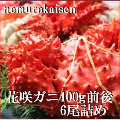 ふるさと納税 根室市 &lt;12/21まで年内配送&gt;★花咲ガニ400g×6尾 C-57049