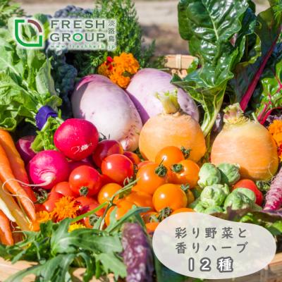 ふるさと納税 淡路市 フレッシュグループ淡路島彩り野菜と香るハーブセット【お届け日指定返礼品】　ah11006