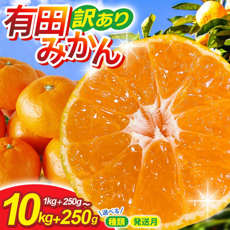 【ふるさと納税】 家庭用 有田みかん サイズ混合 (2S～2L)【選べる容量・発送時期】1kg 2.5kg 5kg 7.5kg 10kg 【わけあり・訳あり】 ※2025年10～順次発送予定 / みかん 果物 フルーツ 柑橘 和歌山 有田 ミカン くだもの 訳アリ 訳アリ品