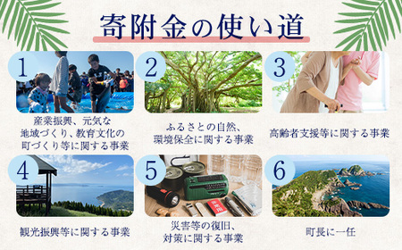 【返礼品なしの寄附】鹿児島県南大隅町 1口: 100万円 MN-17 │ 鹿児島県 南大隅町 寄付 寄附 応援 支援 応援寄付金 支援寄付金 寄付のみ 返礼品なし 返礼品なしの寄付 1,000,000