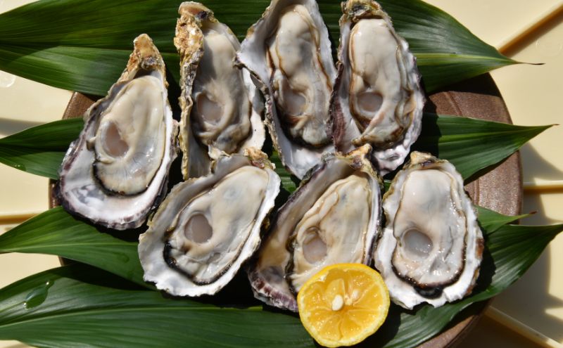 牡蠣 2026年 先行予約 殻付き 大つぶ牡蠣 30個 山銀商店 瀬戸内海虫明湾産 大粒 