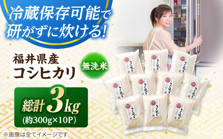 【令和5年産】無洗米 福井県産こしひかり 300g(約2合) × 10パック 計3kg[A-017043]