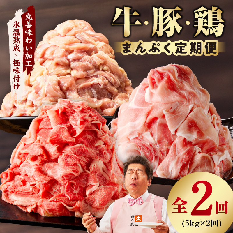 国産 牛肉＆豚肉＆鶏肉 まんぷく 定期便 5kg×2回【氷温熟成×極味付け 3種 食べ比べ 普段使い 味付き 小分け 訳あり サイズ不揃い 毎月配送コース】 mrzZ019