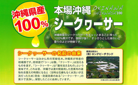 オキナワシークヮーサー100%ビター　2本セット 