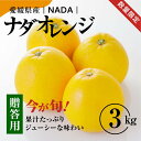 【ふるさと納税】【先行予約】【農家直送】愛媛県産 ナダオレンジ 贈答用 3kg ｜ 柑橘 蜜柑 みかん ミカン 果物 フルーツ 河内晩柑 ※2025年5月中旬より順次発送予定