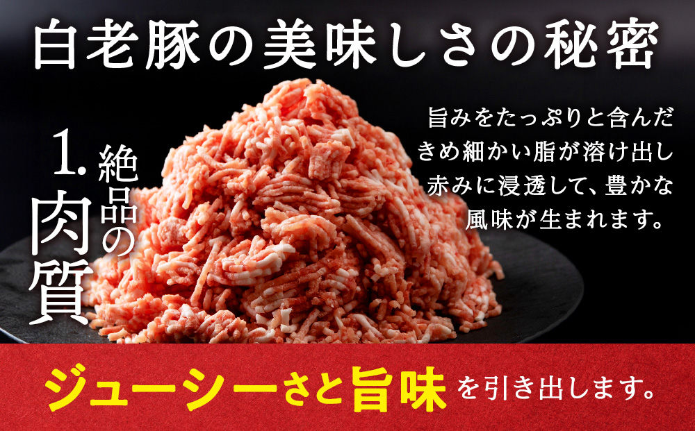 【定期便 12カ月】 北海道産 白老豚 ハンバーグ 120ｇ×20個 セット 冷凍 洋食 おかず BV039_イメージ3