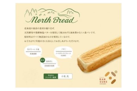 パン 詰め合わせ おまかせ 10個 セット＋北海道産小麦100％高級ミニ食パン『ノースブレッド』【19113】 