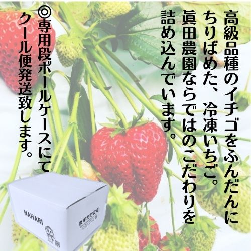 【ふるさと納税】冷凍いちご4種　高級品種 いちご 冷凍　500g×3袋・500g×5袋選べる 高知県 奈半利町