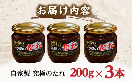 自家製 究極のたれ 200g×3本セット 焼肉のたれ 焼肉のタレ やきにくのタレ やきにくのたれ タレ たれ オリジナル たれ 味噌 醤油ベース 野菜炒め たれ 自家製 たれ てづくりタレ てづくりた