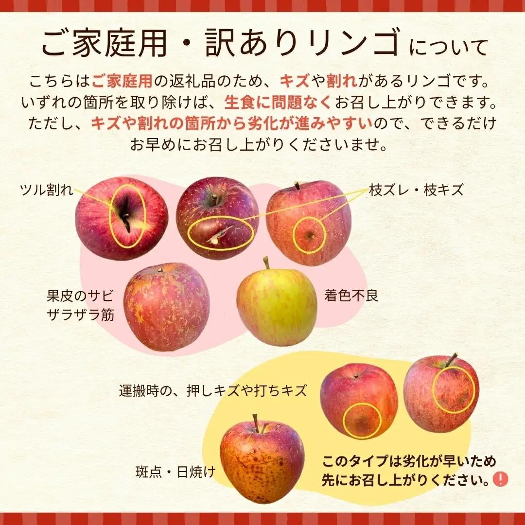 【2026年先行予約】千曲市産 シナノスイート りんご 約3kg 訳あり 家庭用 | りんご