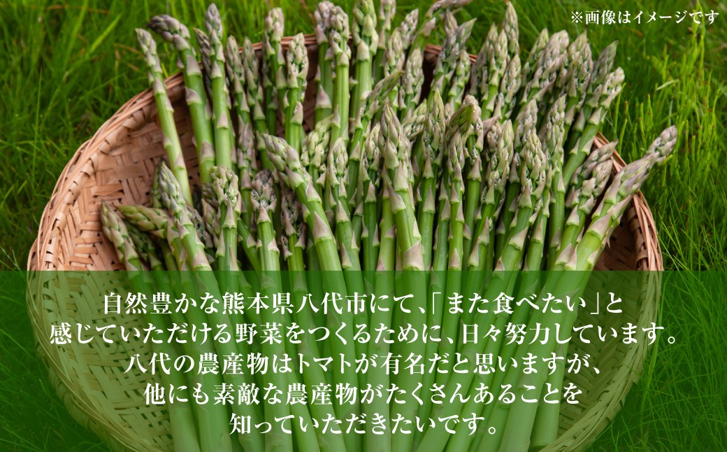 熊本県八代市には、トマト以外にも素敵な農作物がたくさんあることを知っていただきたいです