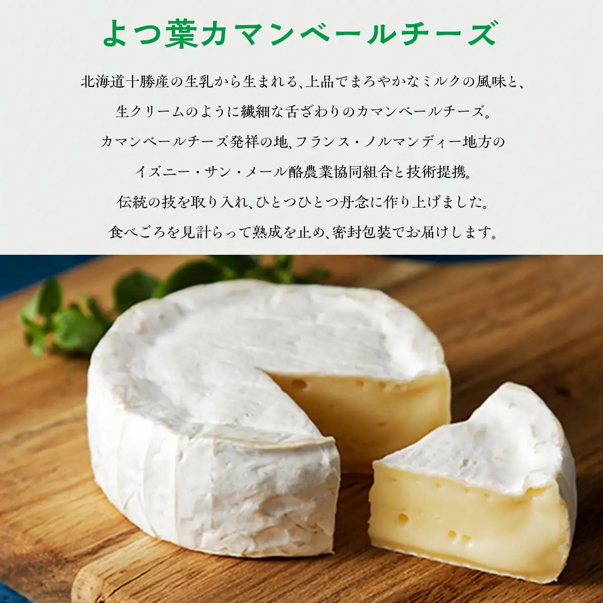 北海道  よつ葉カマンベールチーズ6個 【人気 おすすめ     セット  送料無料 】 SKA032