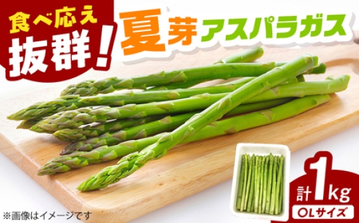 夏芽 アスパラガス 計1kg（〇Lサイズ） / 野菜 アスパラ あすぱら asparagus / 佐賀県 / さが風土館季楽 [41AABE104]