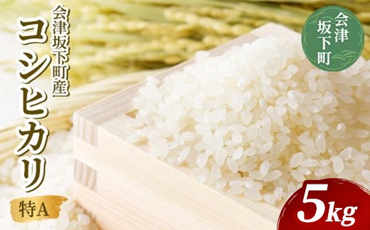
                  21-S 会津坂下町産 コシヒカリ 5kg （令和7年産米）（白米） | 米 こめ コメ 精米 白米 5kg コシヒカリ
                