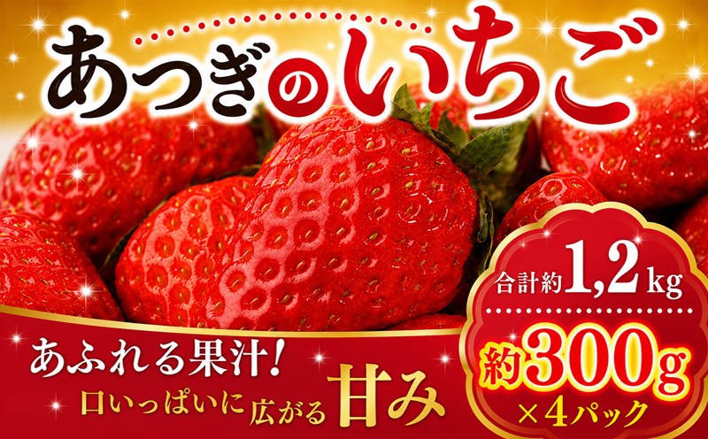 
                  【 先行予約 】イチゴ 冷蔵 いちご 苺 約 1,2kg 品種セット 紅ほっぺ 恋みのり もういっこ 甘酸っぱい 芳醇な香り フルーツ 新鮮 くだもの 果物 旬 甘い アソート ギフト 神奈川県 厚木市 こすげ農園 KGF001_p001
                