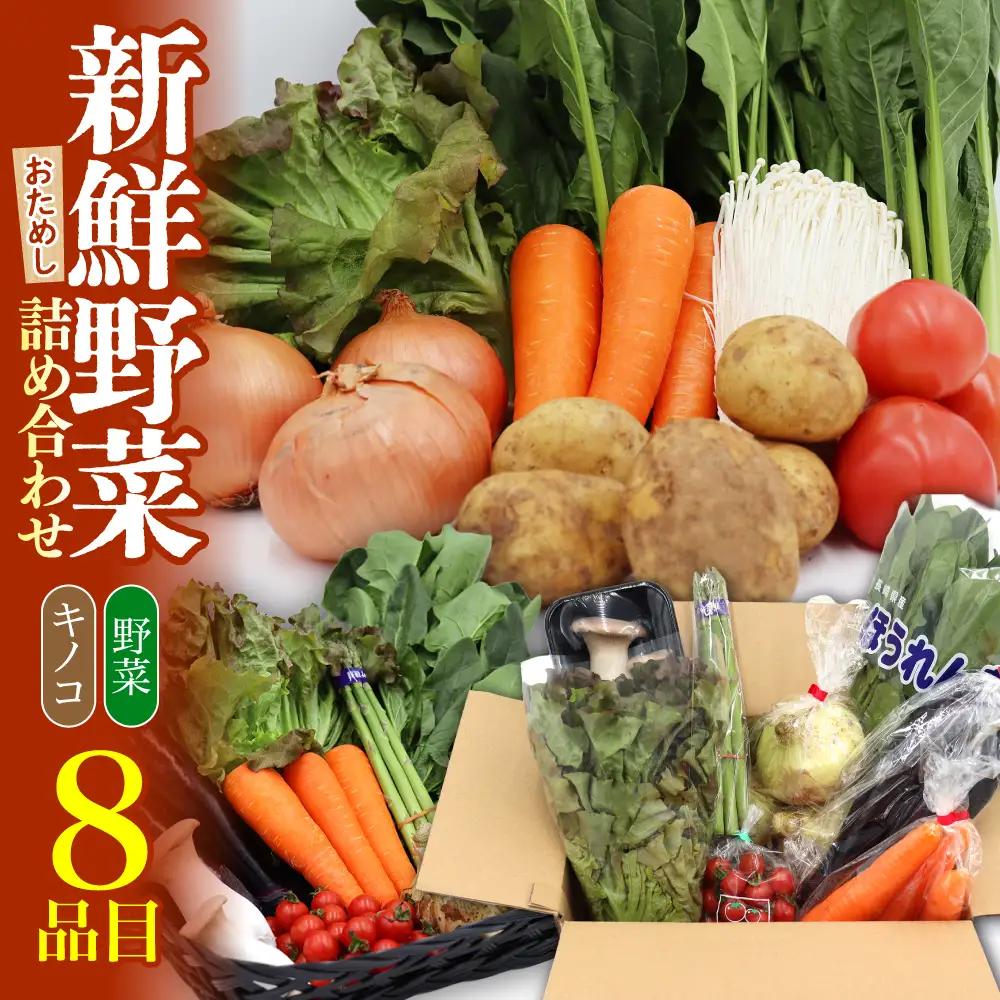 お試し 野菜セット 8品目 [SCZ027]