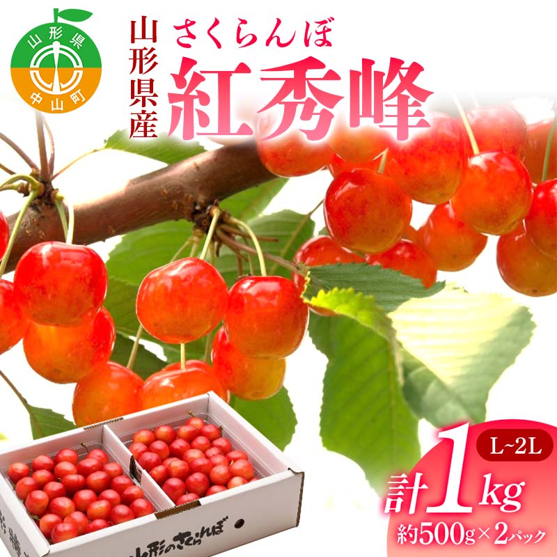 《2025年先行予約》 山形県産 さくらんぼ 紅秀峰 約500g×2パック（L～2Lサイズ）特秀 果物 フルーツ 山形県 中山町 F4A-0418
