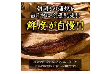 国産うなぎ蒲焼・白焼 (各1匹) [0850]