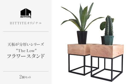 HITTITEの天板が分厚いシリーズ  "The Low 36"  フラワースタンド 2台 テーブル フラワースタンド インテリア 家具 ヒッタイト 063-11