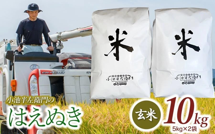 数量限定 【令和7年産】 山形県庄内産 小池半左衛門のお米 はえぬき 玄米 10kg (5kg×2袋)