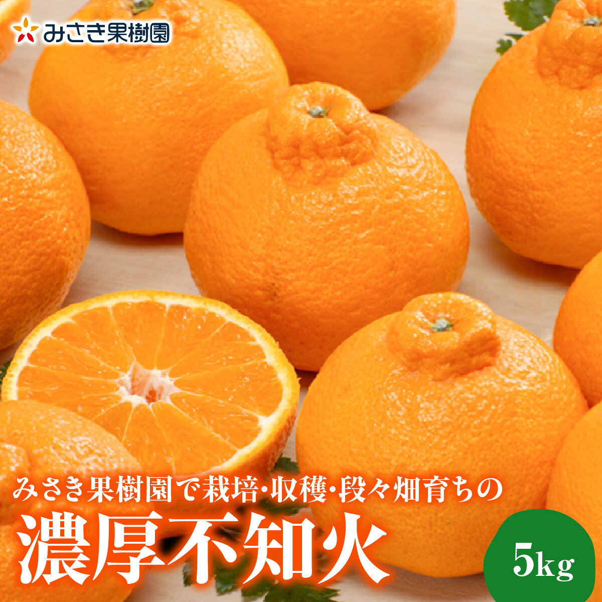 【ふるさと納税】【先行受付】みさき果樹園で栽培・収穫・段々畑育ちの濃厚不知火5kg【C21-63】_【1706092】YWTBC044