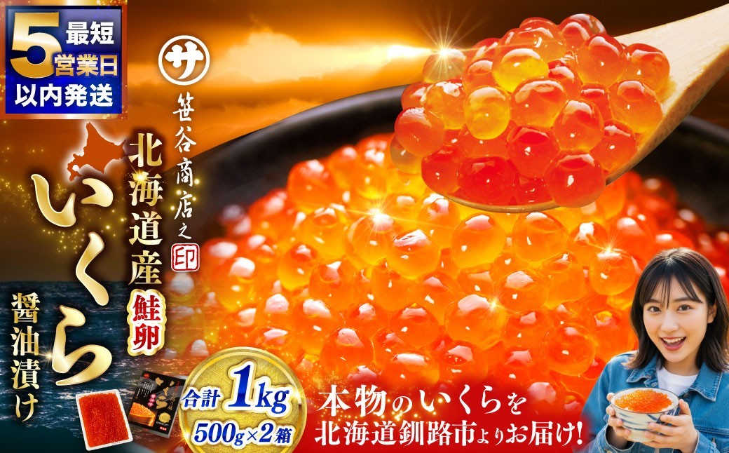
                  北海道産 いくら 醤油漬け 500g × 2箱 合計1kg マルサ笹谷商店【発送時期が選べる】釧之助 イクラ ギフト 個包装 化粧箱 魚卵 醤油漬け 冷凍 海産物 魚介類 ご飯のお供 海鮮 海鮮丼 国産
                