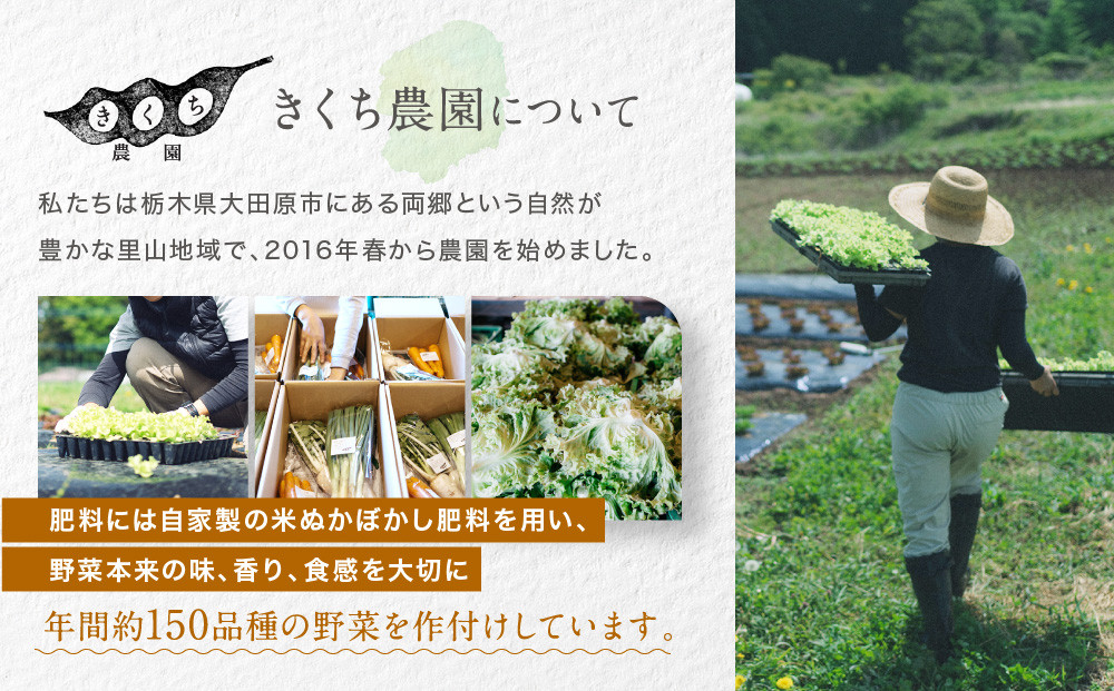 【先行予約 2027年5月より発送】【全3回定期便】農家からお届け！旬のお野菜たっぷり8種セット