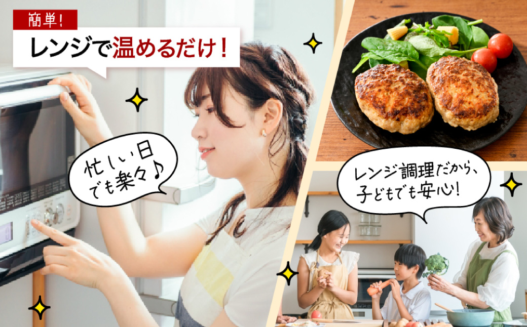 赤村養生館 特製手ごねハンバーグ 4個 B23