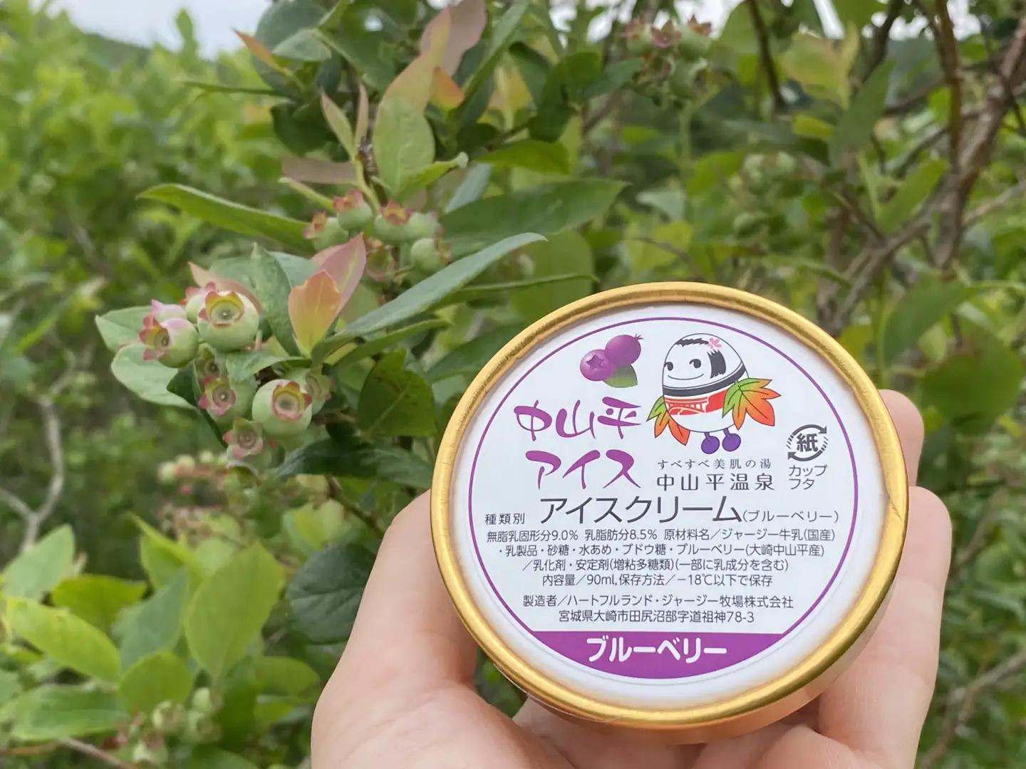 アイスクリーム12個 アイス (鳴子産 ゆきむすび6個・自然栽培ブルーベリー6個) 大崎市 鳴子温泉郷
