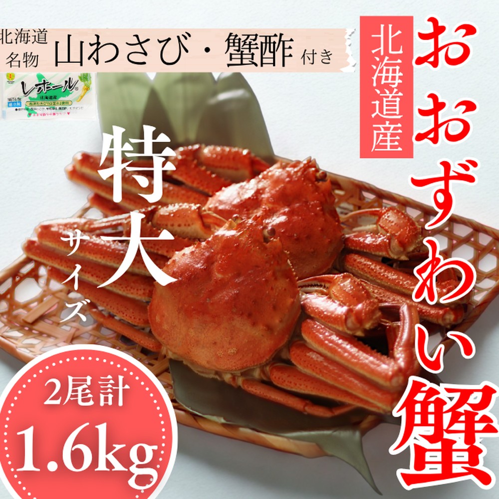 35-49 【北海道産】オオズワイガニ姿　特大サイズ2尾計1.6kg ｜ 蟹酢・山わさび付　かに　おおずわいがに