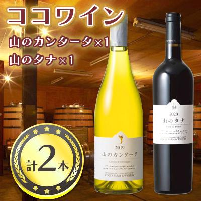 ふるさと納税 足利市 ココワイン　山のワインセット