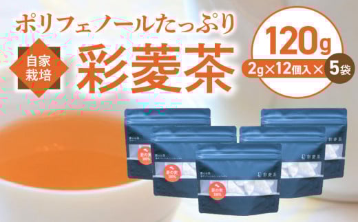 農薬不使用自家栽培 ポリフェノールたっぷり 彩菱茶　120g（2g×12袋入り）×5袋セット