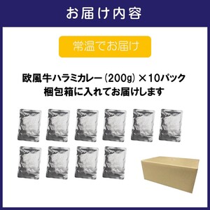 欧風牛ハラミカレー（200g×10パック）【配送不可地域：北海道・沖縄】【069D-012】