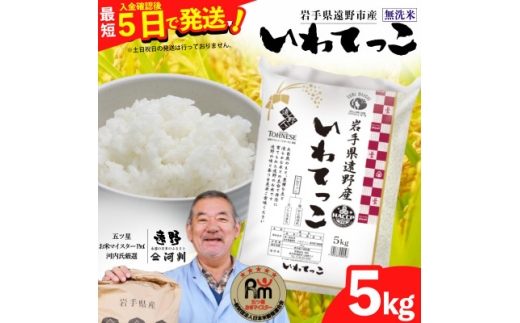 ＜令和7年産＞いわてっこ(無洗米) (精米)岩手県遠野市産 5kg 河判【1714128】