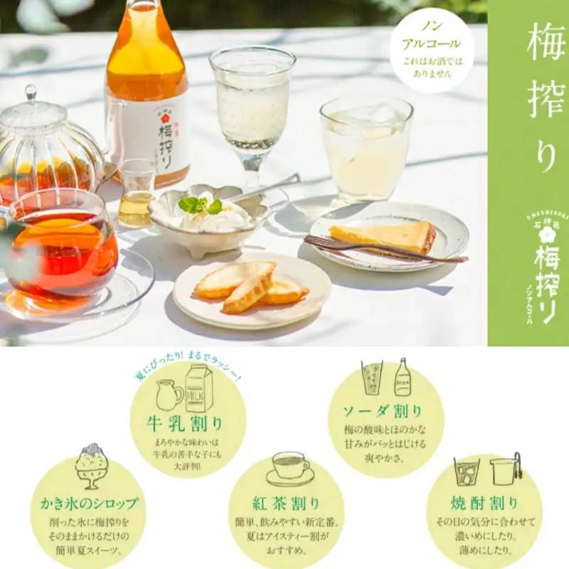 梅搾り（ノンアルコール）490ml / 紀州南高梅 梅干し 梅干 梅 うめ 梅ジュース 和歌山 田辺市 炭酸割り 紀州産 南高梅 完熟梅【isg027-1】