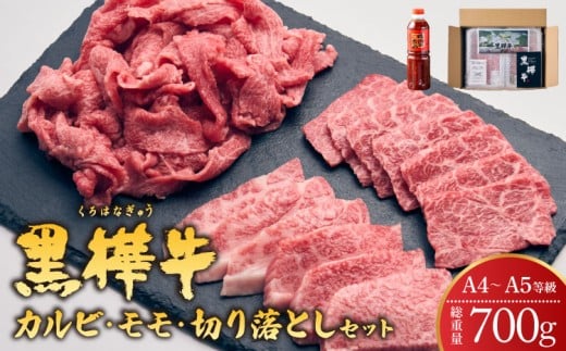 九州産黒毛和牛 黒樺牛 A4～A5等級  焼き肉用 カルビ・モモ・切り落としセット 計700g 焼肉のタレ付き タレ1本 焼肉 BBQ 牛肉 A5 A4 3種 計700g 霜降り アウトドア セット キャンプ おかず 肉 焼き肉 カルビ モモ 切り落とし 食べ比べ 和牛 お肉 牛肉 黒毛和牛 国産 冷凍 杉本本店