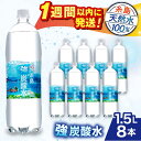 【ふるさと納税】強炭酸水 1.5L×8本 糸島市 / スターナイン 炭酸水 大容量 [ARM001] 6000円 6千円 常温