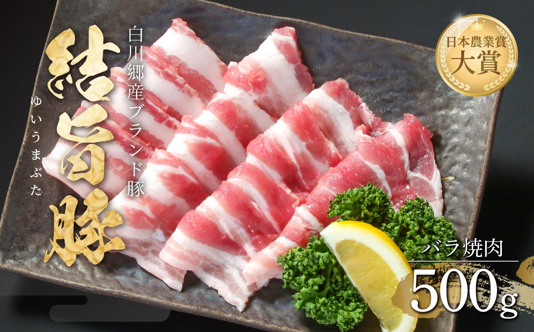 
                  結旨豚 バラ焼肉 500g 冷凍 真空パック 抗生物質 合成抗菌剤不使用 ｜ 豚肉 焼肉 豚肉 焼肉用 豚肉 バラ 豚肉 真空パック 豚肉 冷凍 豚肉 おかず 焼肉 セット 結旨豚 ブランド豚 国産豚 ブランド豚 結旨豚 冷凍 真空パック 旨味 ギフト 贈答 国産 バラ 焼肉用 焼肉 BBQ バーベキュー キャンプ 世界遺産 白川郷 [MS004]
                