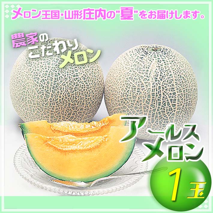 【ふるさと納税】【8月より順次発送】アールスメロン 大玉1玉（入金期限：2025.7.31） ふるさと納税 山形