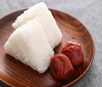 紀州南高梅　つぶれ梅300g×4