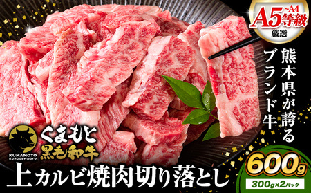 黒毛和牛 切り落とし 上 カルビ 焼肉 600g 牛肉