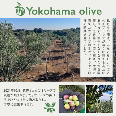 ふるさと納税 横浜市 横浜オリーブ　エクストラバージンオリーブオイル　100ml |  | 01