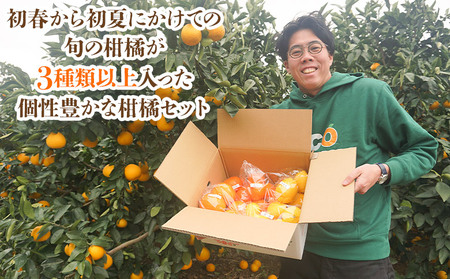 【先行予約】＜笑丸のお楽しみ柑橘福袋（家庭用）約7kg＞ 自宅用 訳あり 果物 くだもの フルーツ ミカン みかん 蜜柑 高級柑橘 詰め合わせ 春柑橘 春みかん 夏柑橘 特産品 笑丸 愛媛県 西予市 