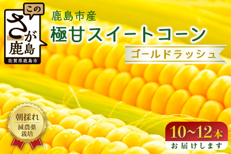 予約受付【限定30セット】スイートコーン（ゴールドラッシュ）10～12本入 とうもろこし トウモロコシ 野菜 B-319 佐賀 鹿島